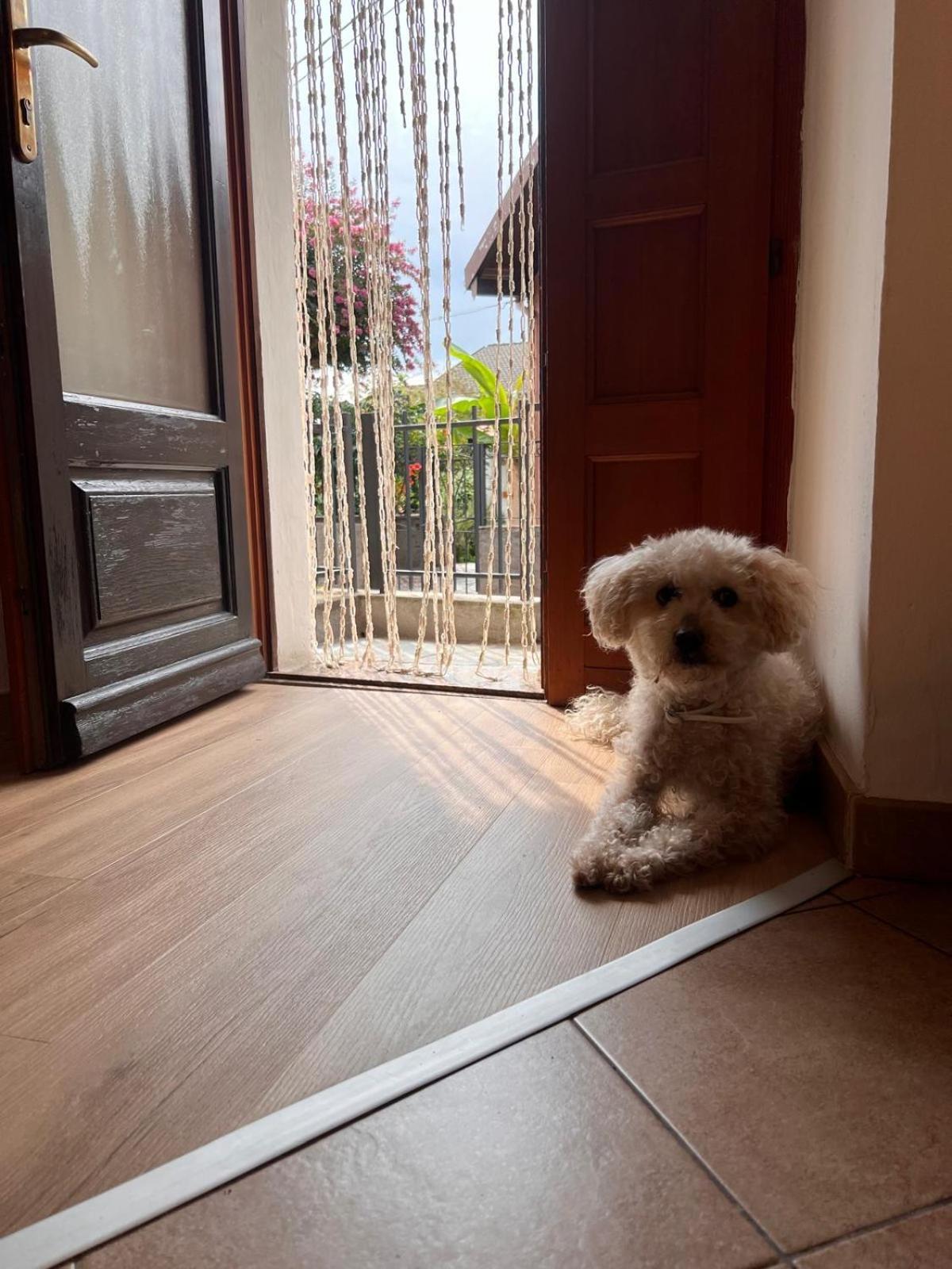 Apartment Ca Dai Noni Feriolo Luaran gambar