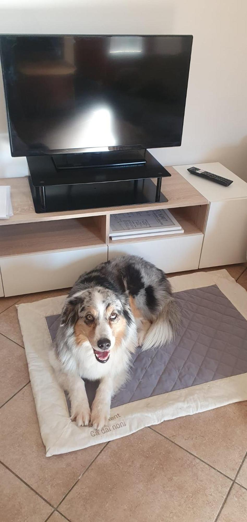 Apartment Ca Dai Noni Feriolo Luaran gambar